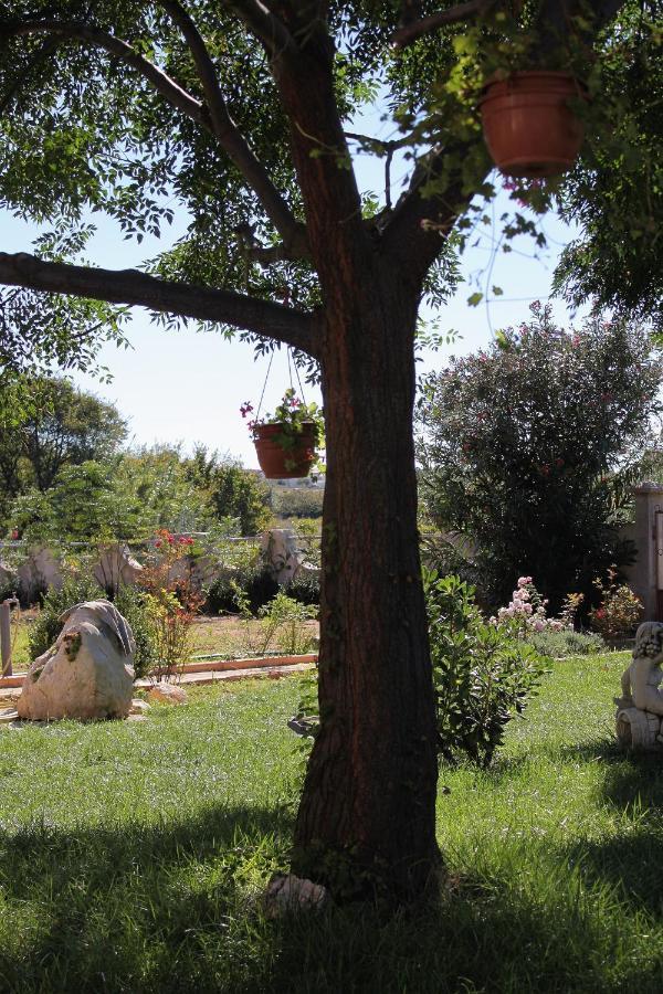 Apartments For Families With Children Privlaka, Zadar - 5747 Bagian luar foto