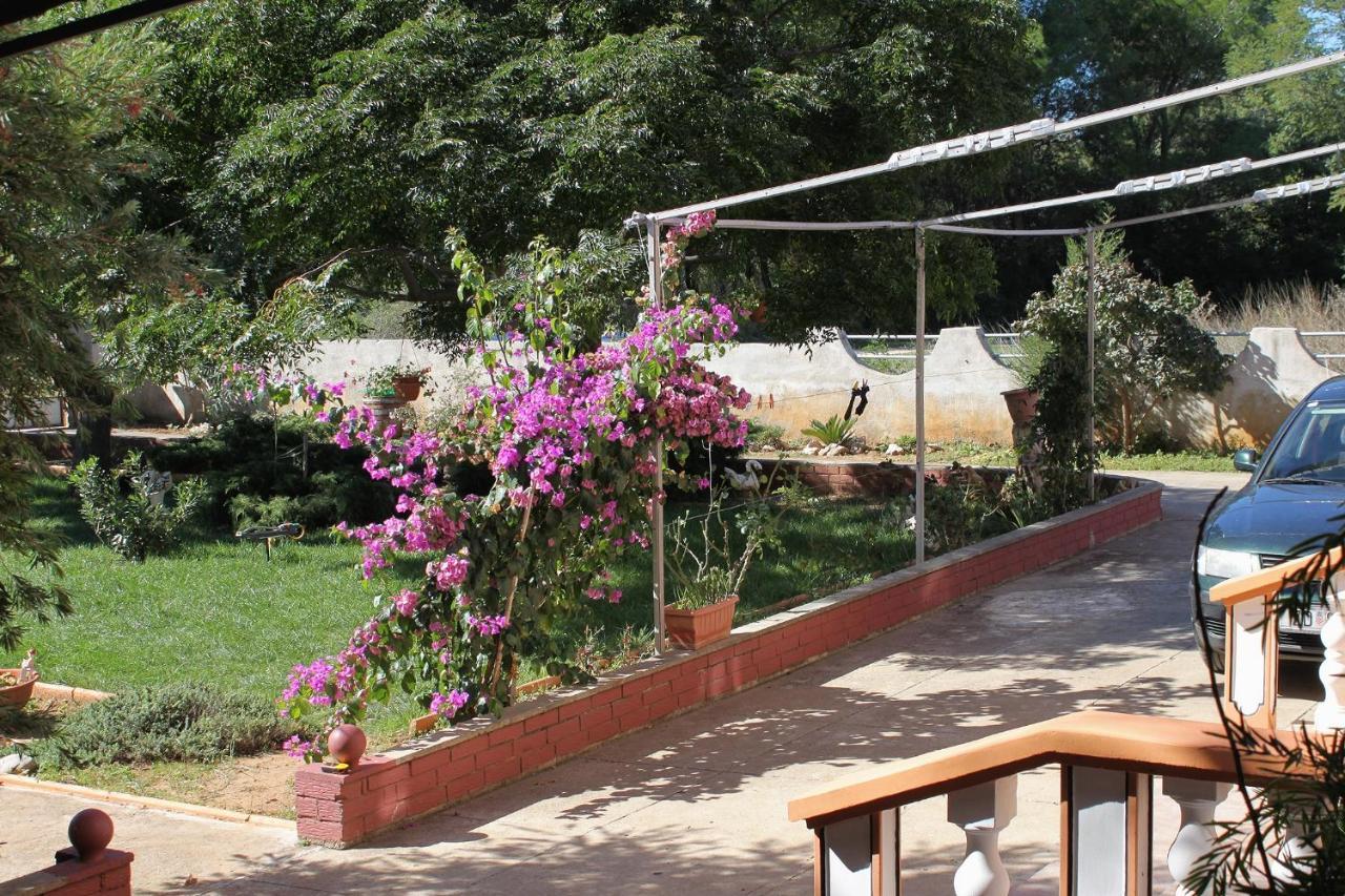 Apartments For Families With Children Privlaka, Zadar - 5747 Bagian luar foto